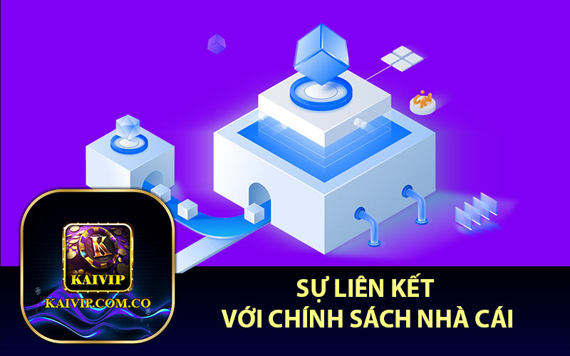 Sự Liên Kết Với Chính Sách Nhà Cái